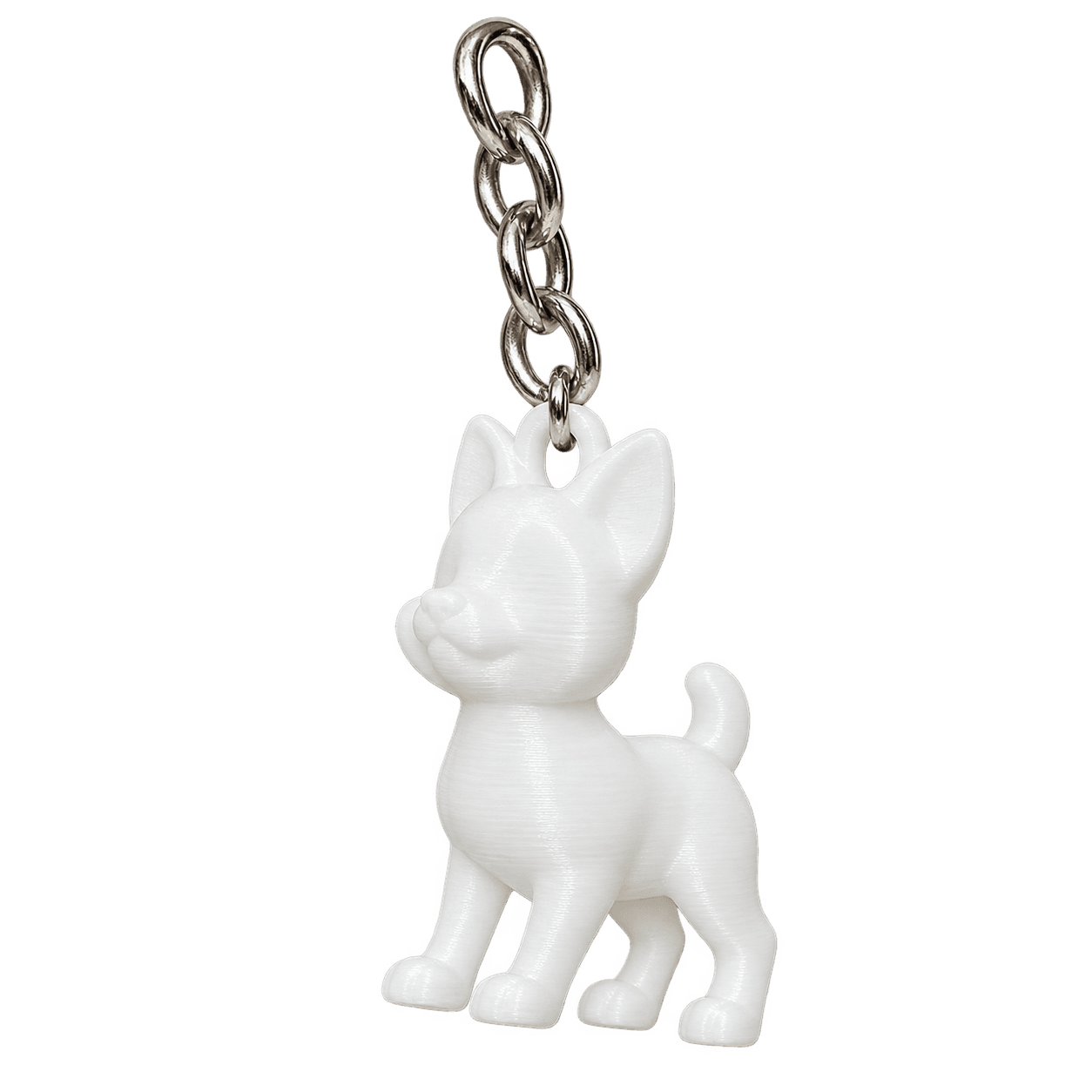 Perrito chihuahua blanco